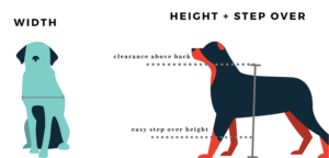 Read more about the article HOW TO MEASURE YOUR DOG FOR A DOGGY DOOR?